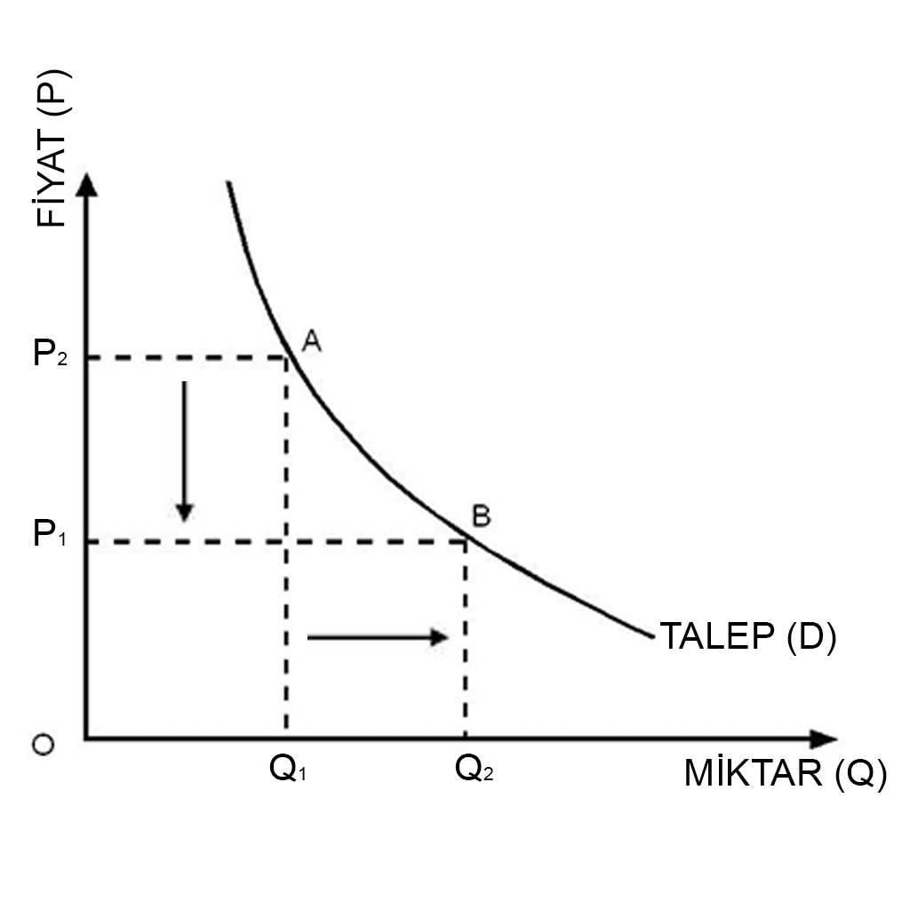 TALEP ESNEKLİĞİ